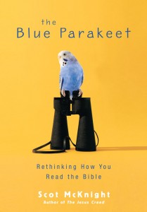 theblueparakeet