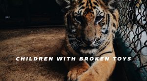 broken toys